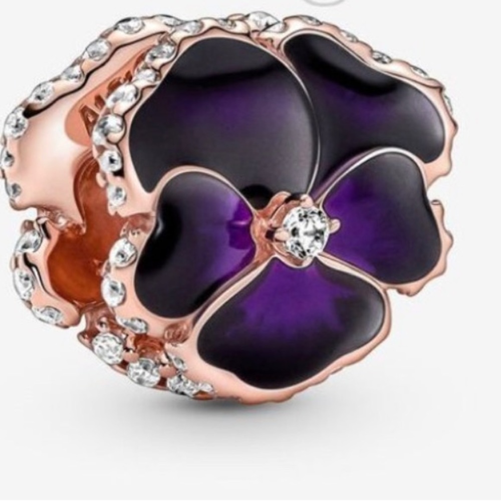 Pandora charms
